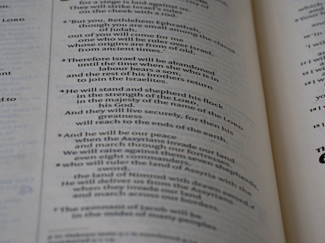 Rahasia dan Peluang di Dunia Toto DV188